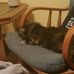 Meet your Posher, Joy